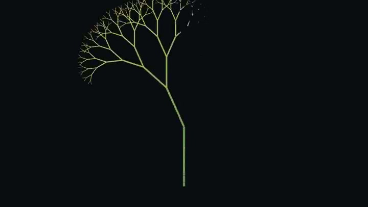 Recursive branch mid-construction: the same branching rule repeating into finer arms.