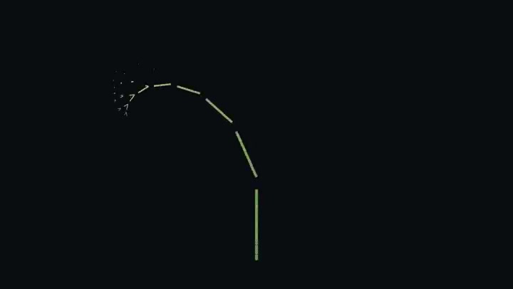 Recursive branch construction at the start: a short stem with the first few segments forming.